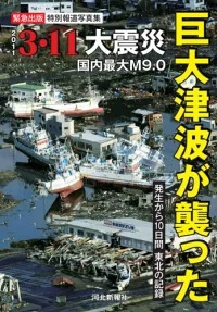 �{�̏ڂ���������